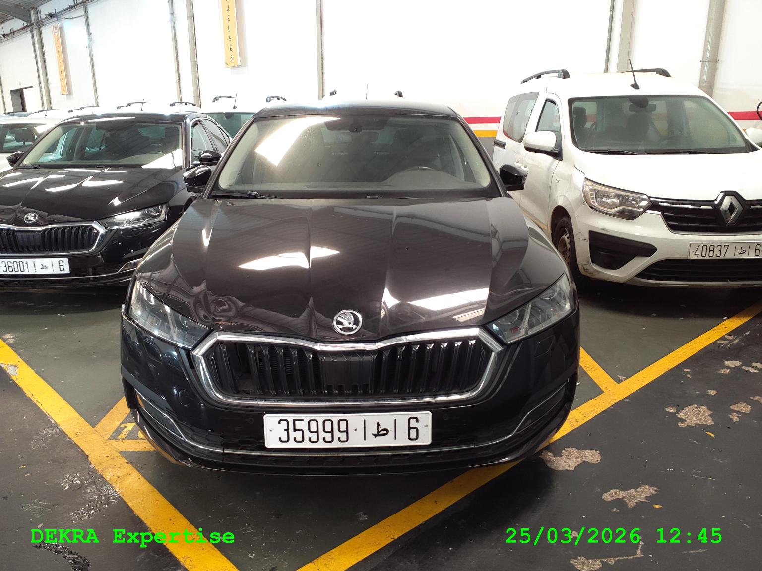 OCTAVIA A8 2,0 TDI 143 BUSI BA